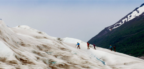 Trekking Glaciar Grey