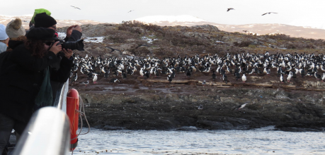 Navegación Pingüinera
