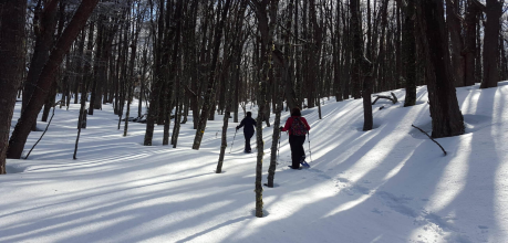 Full Day Nieve