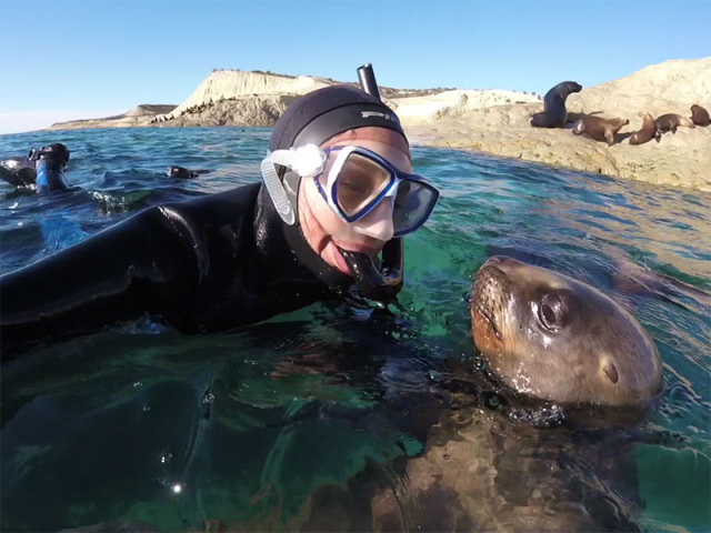 SNORKELING CON LOBOS MARINOS